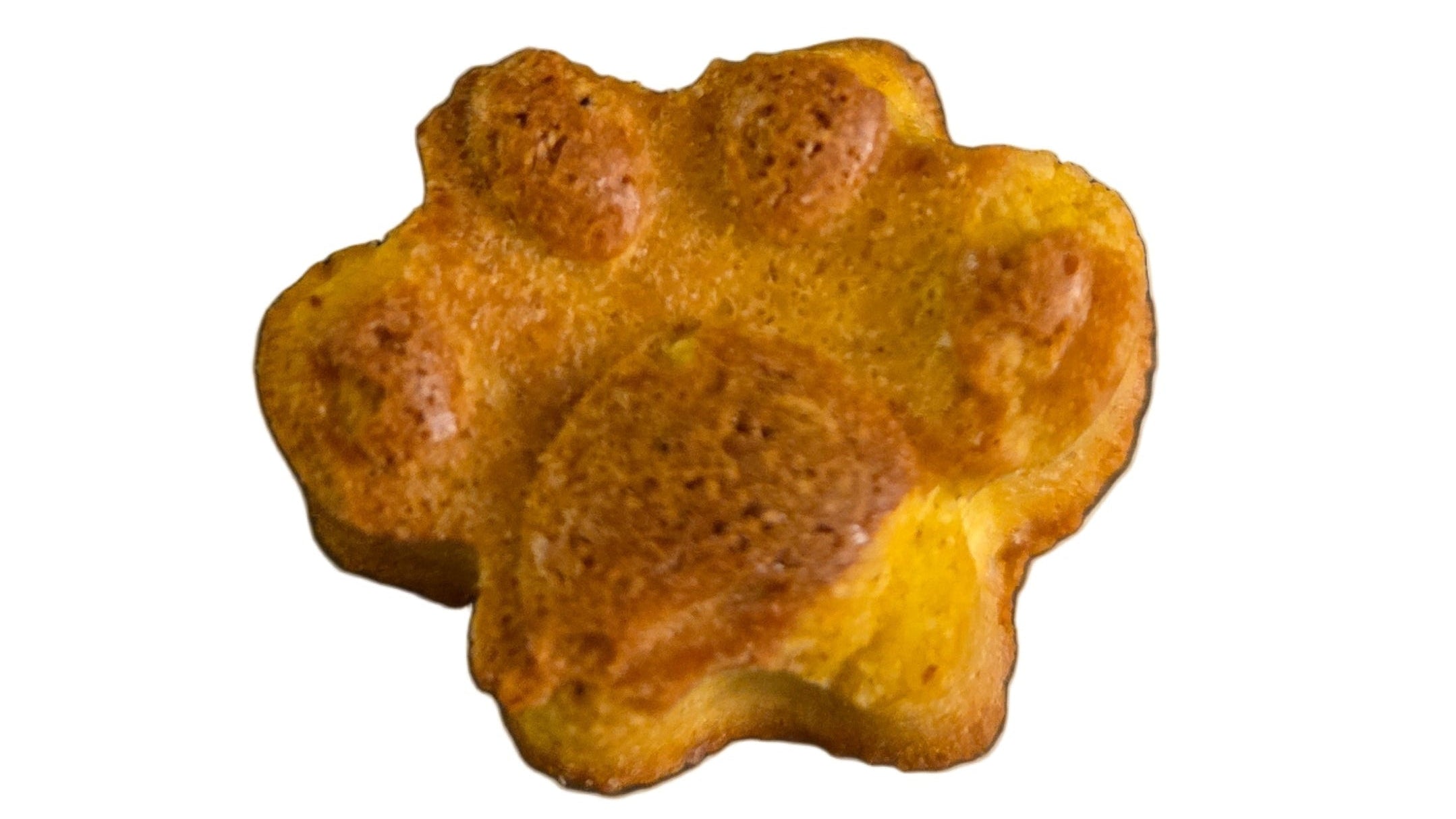 Dog treat shaped like a paw on a white background